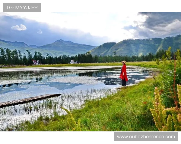 BG大游真人登录线路不一样的常见原因及多线路切换策略帮助玩家稳定登录