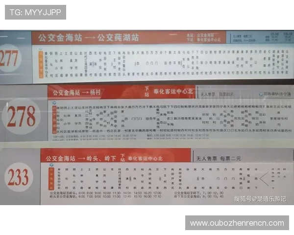 百家乐下三路的图示分析与数据解读提升投注精准度的方法